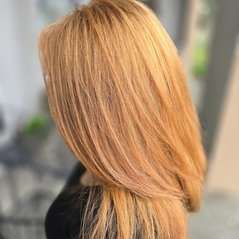 Strawberry blonde color on long layered hair, taken from black, back and side view