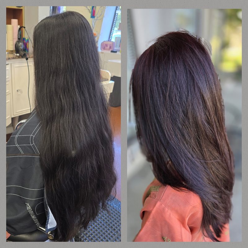 Before and after long hair transformation: long dark hair cut into a shaped, layered finish, back view